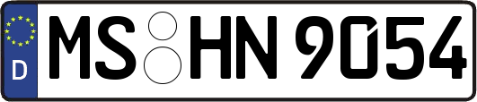 MS-HN9054