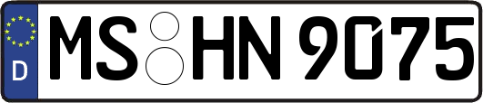 MS-HN9075