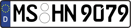 MS-HN9079