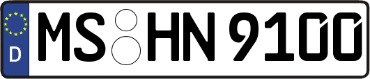MS-HN9100