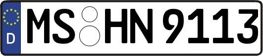 MS-HN9113