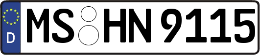 MS-HN9115
