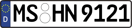 MS-HN9121