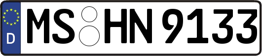 MS-HN9133