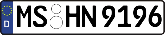 MS-HN9196