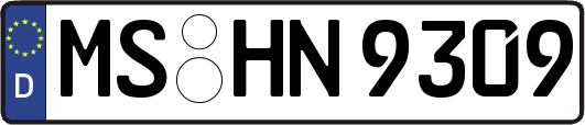 MS-HN9309