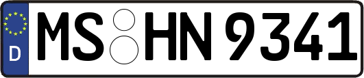 MS-HN9341