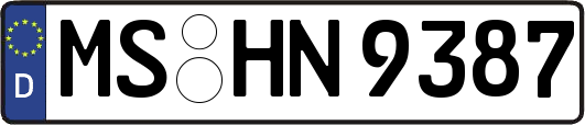 MS-HN9387
