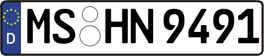 MS-HN9491