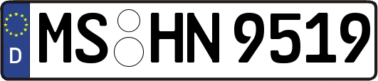 MS-HN9519