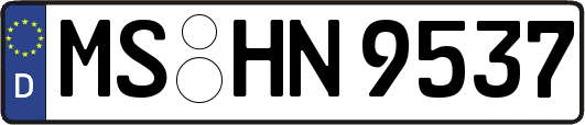 MS-HN9537