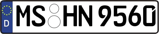 MS-HN9560