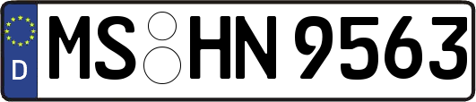 MS-HN9563