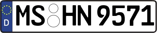 MS-HN9571