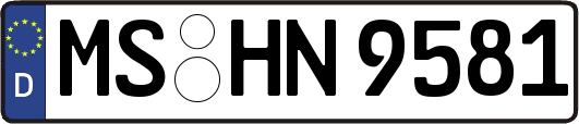 MS-HN9581