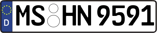 MS-HN9591
