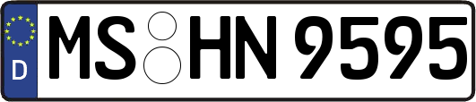 MS-HN9595
