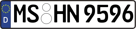 MS-HN9596