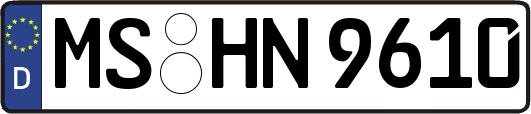 MS-HN9610