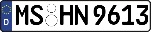 MS-HN9613