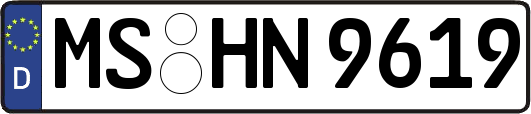 MS-HN9619