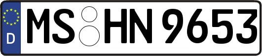 MS-HN9653