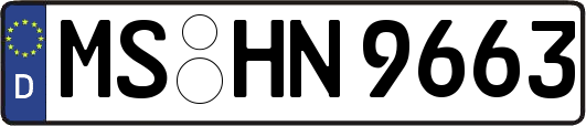 MS-HN9663