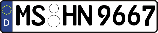 MS-HN9667
