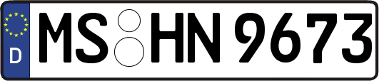 MS-HN9673