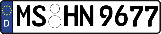 MS-HN9677