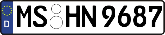 MS-HN9687