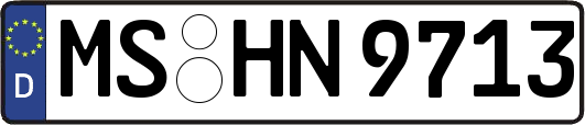 MS-HN9713