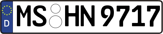 MS-HN9717