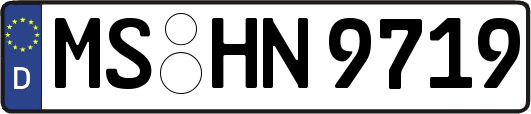 MS-HN9719