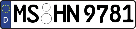 MS-HN9781