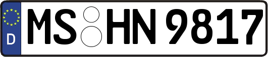 MS-HN9817