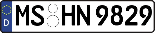 MS-HN9829