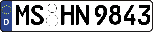MS-HN9843