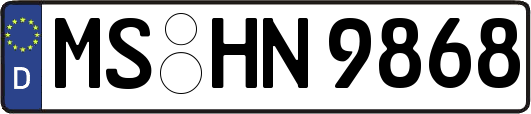 MS-HN9868