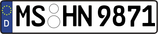 MS-HN9871