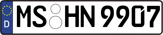 MS-HN9907