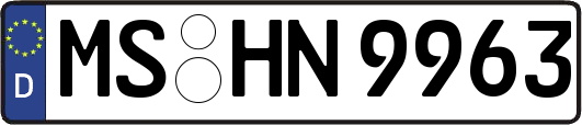 MS-HN9963