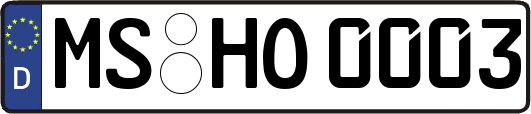 MS-HO0003
