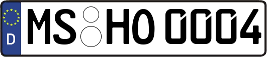 MS-HO0004