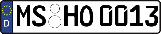 MS-HO0013