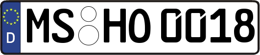 MS-HO0018
