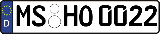 MS-HO0022