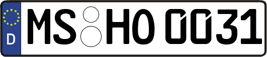 MS-HO0031