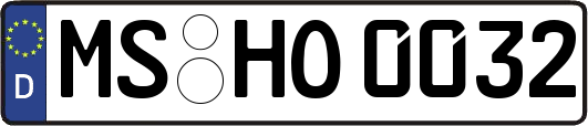 MS-HO0032