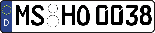 MS-HO0038